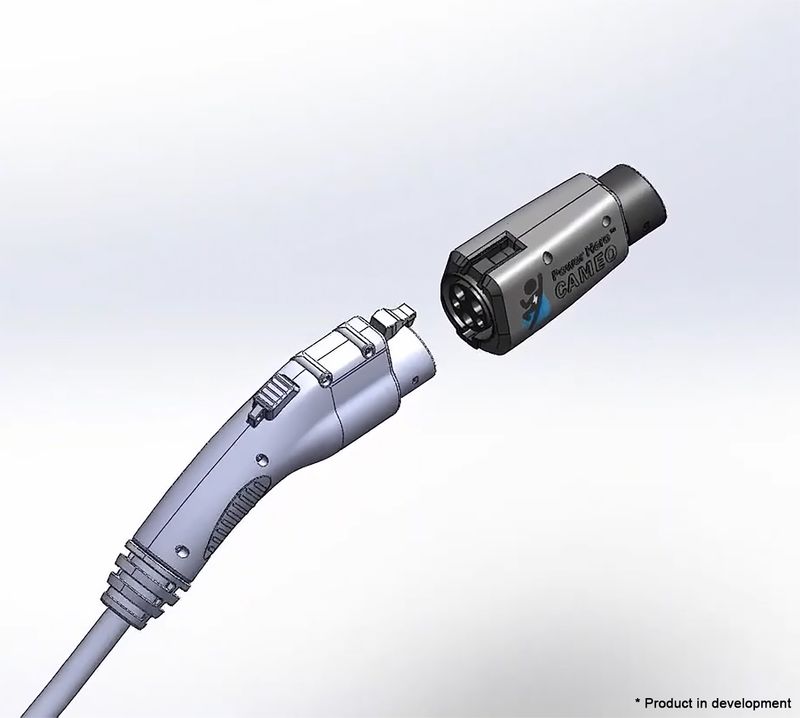 Our team collaborating in the office